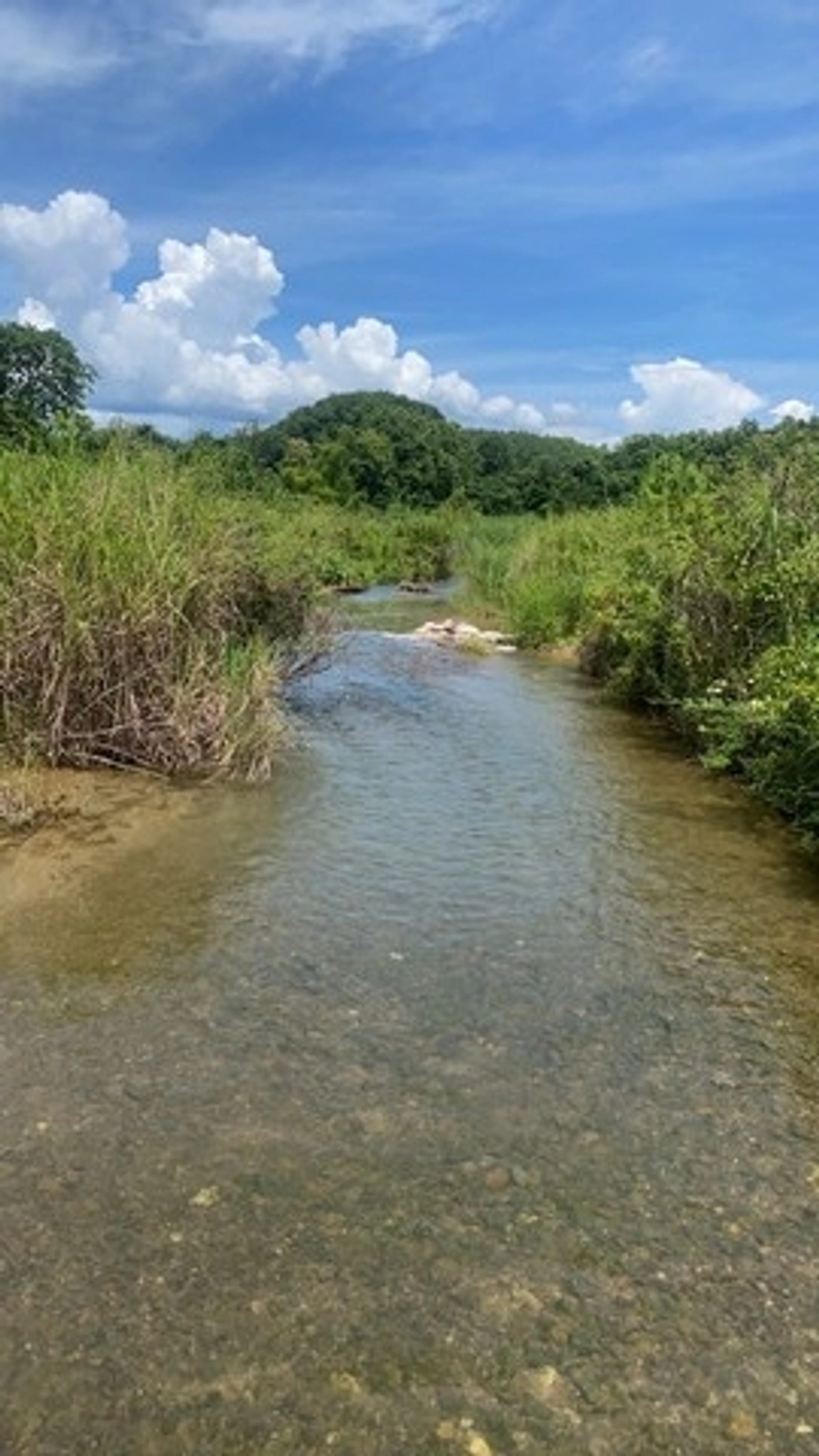 Real estate that pleases customers in all conditions. Land, land next to a stream with clear, flowing water, moist all year round, beautiful view, million baht, 800,000 baht, 3-0-35 rai, Santisuk District