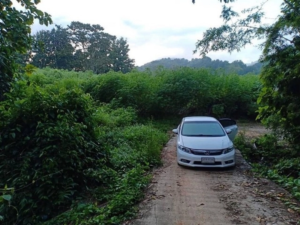 Good location, the owner offers special conditions. Land, land next to a stream with clear, flowing water, moist all year round, beautiful view, million baht, 800,000 baht, 3-0-35 rai, Amphoe