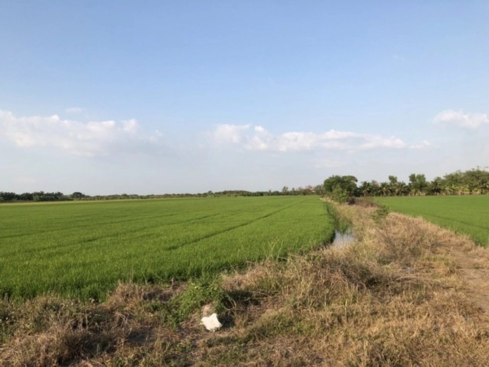 Good location, owner offers special conditions, land title deed for sale, Lat Lum Kaeo District, Pathum Thani, 800,000 per rai, call 083-7124115