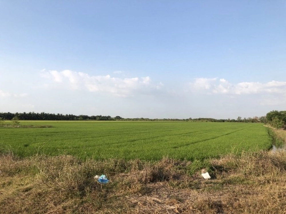 Good location, owner offers special conditions, land title deed for sale, Lat Lum Kaeo District, Pathum Thani, 800,000 per rai, call 083-7124115