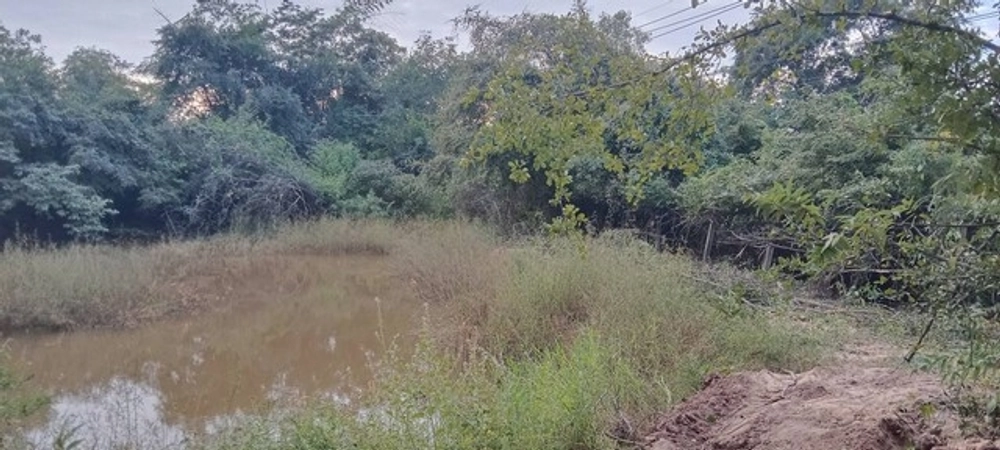 ทำเลดีงามเจ้าของเสนอเงื่อนไขพิเศษ ที่ติดทางหลวง1107 บ้านตาก จ.ตาก คมนาคมสะดวกมาก 36 ไร่เศษ อ.บ้านตาก จ.ตาก ติด ทล.1107 โ