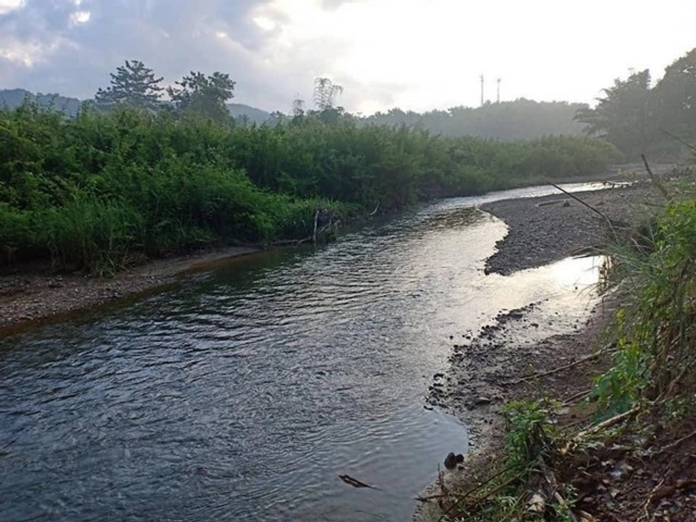 Good location, the owner offers special conditions. Land, land next to a stream with clear, flowing water, moist all year round, beautiful view, million baht, 800,000 baht, 3-0-35 rai, Amphoe