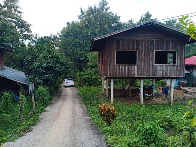 ทรัพย์รับลมหนาว ขายที่ดินติดลำธาร น้ำมวบ ใสไหลชุ่มฉ่ำตลอดปี จ.น่