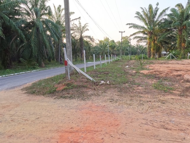 บ้านที่ดินทำเลดีที่ตั้งเยี่ยม ที่ดินสวยใกล้หาดฝั่งแดง 3.5 ลบ.