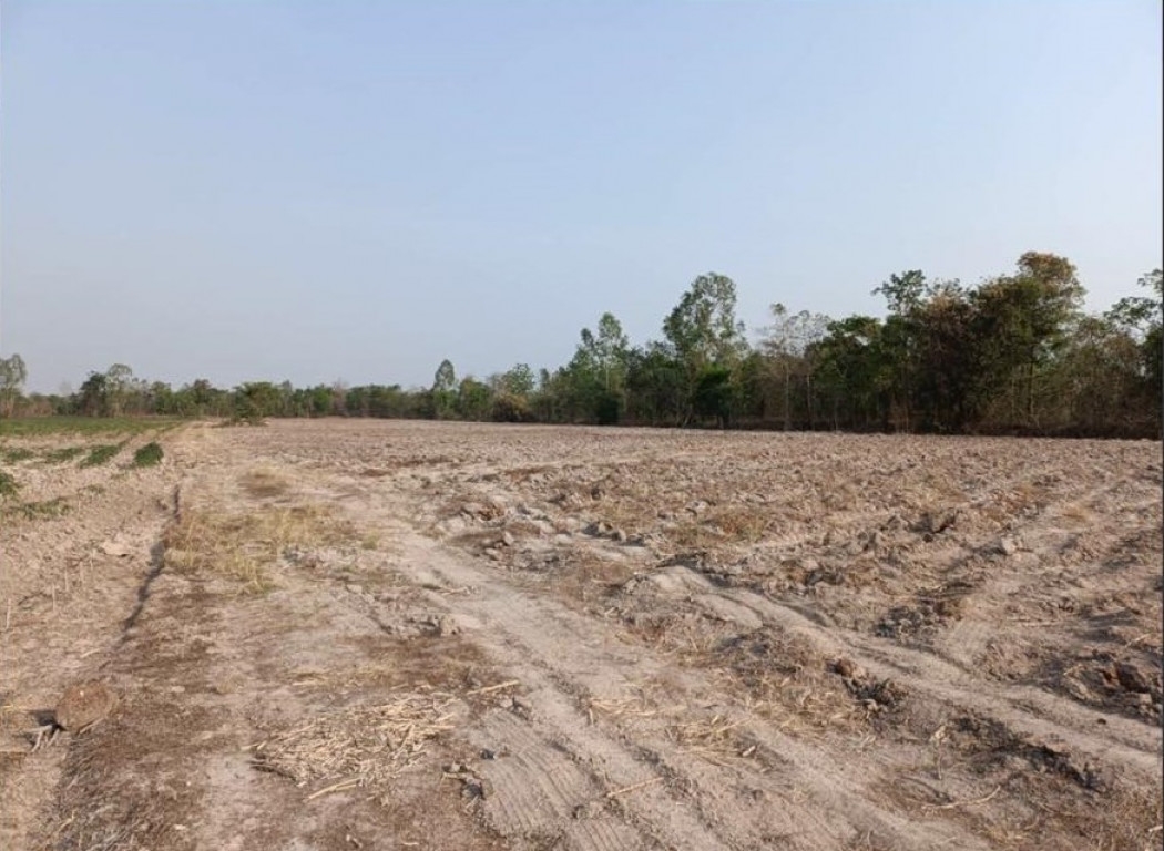 Land for sale, Prachin Buri, Kabin Buri, size 70 rai, 2 ngan, 60 sq w, near Asia Road