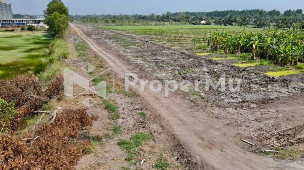 Land for sale, beautiful plot of land, Khlong 10, Nong Suea, 9 rai, 2 ngan, 83 sq m.