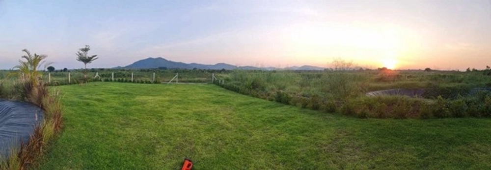 ขายที่ จำนวน 1 ไร่ โฉนดครุฑแดง นส 4 จ อ.ท่าม่วง ต.หนองตากยา จ.กาญจนบุรี 