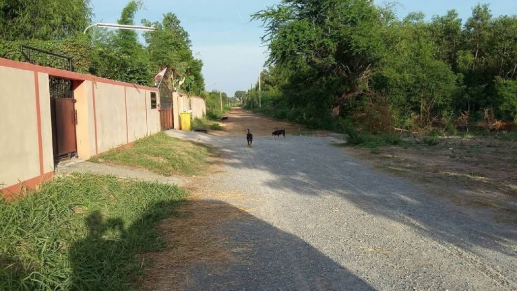 ขาย ที่ดิน ตรงข้าม โรงเรียนสารสาสน์วิเทศ บางบัวทอง นนทบุรี