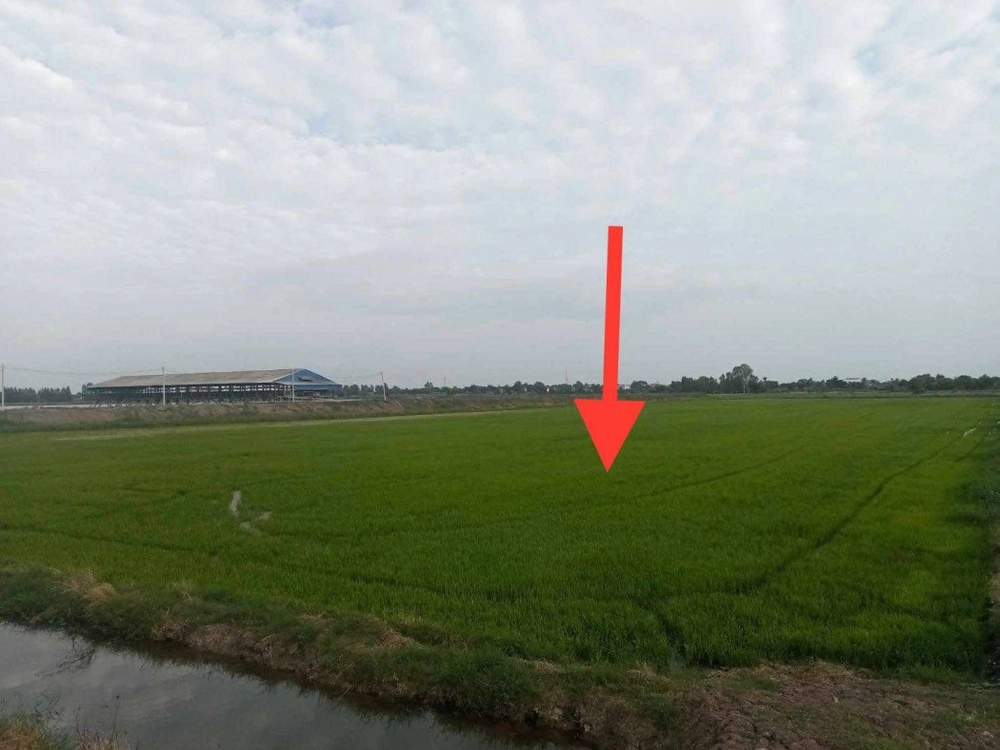 Land for sale, very cheap, near Bangli Market, Song Phi Nong, Suphan Buri