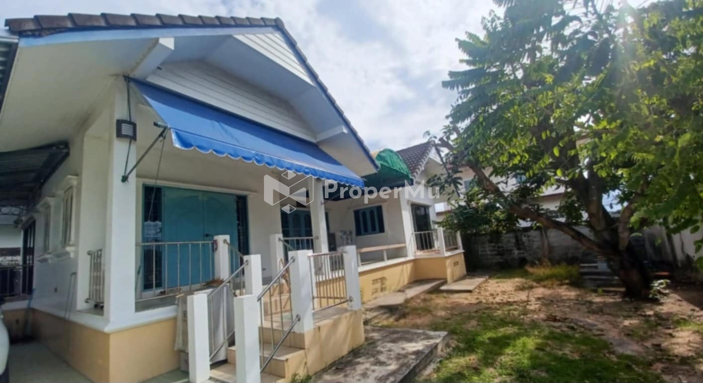 Single house for rent with furniture, shady atmosphere, private