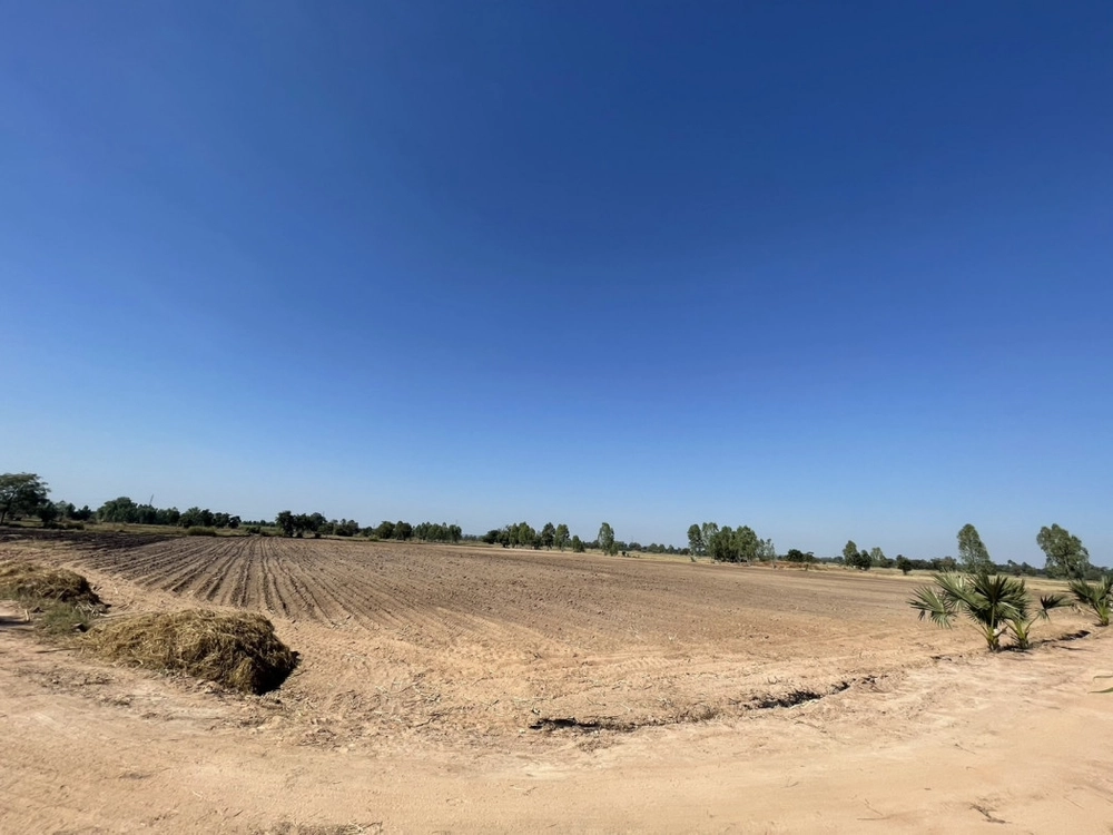 Land for sale, convenient entrance and exit, 19 rai 69.5 sq m of land, surrounded by an irrigation canal.