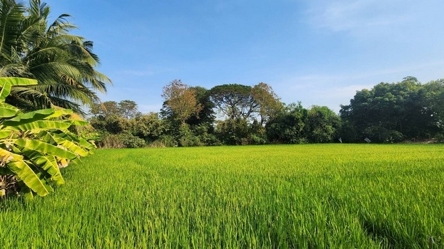 ให้เช่าที่ดิน ที่ดินติดถนนใหญ่ คลองสิบ-คลองสิบสี่