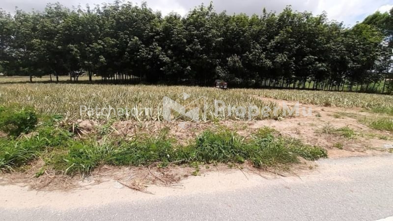 Land for Sale, Khao Khan Song, Sriracha, Chonburi