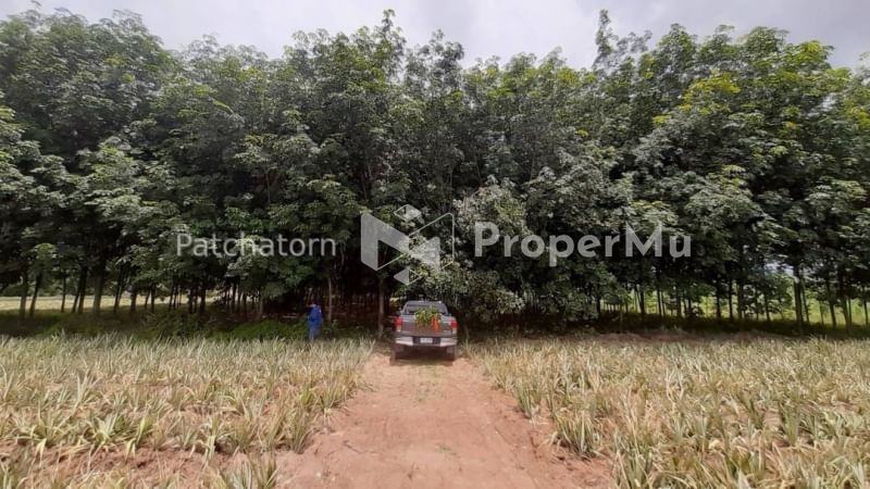 Land for Sale, Khao Khan Song, Sriracha, Chonburi