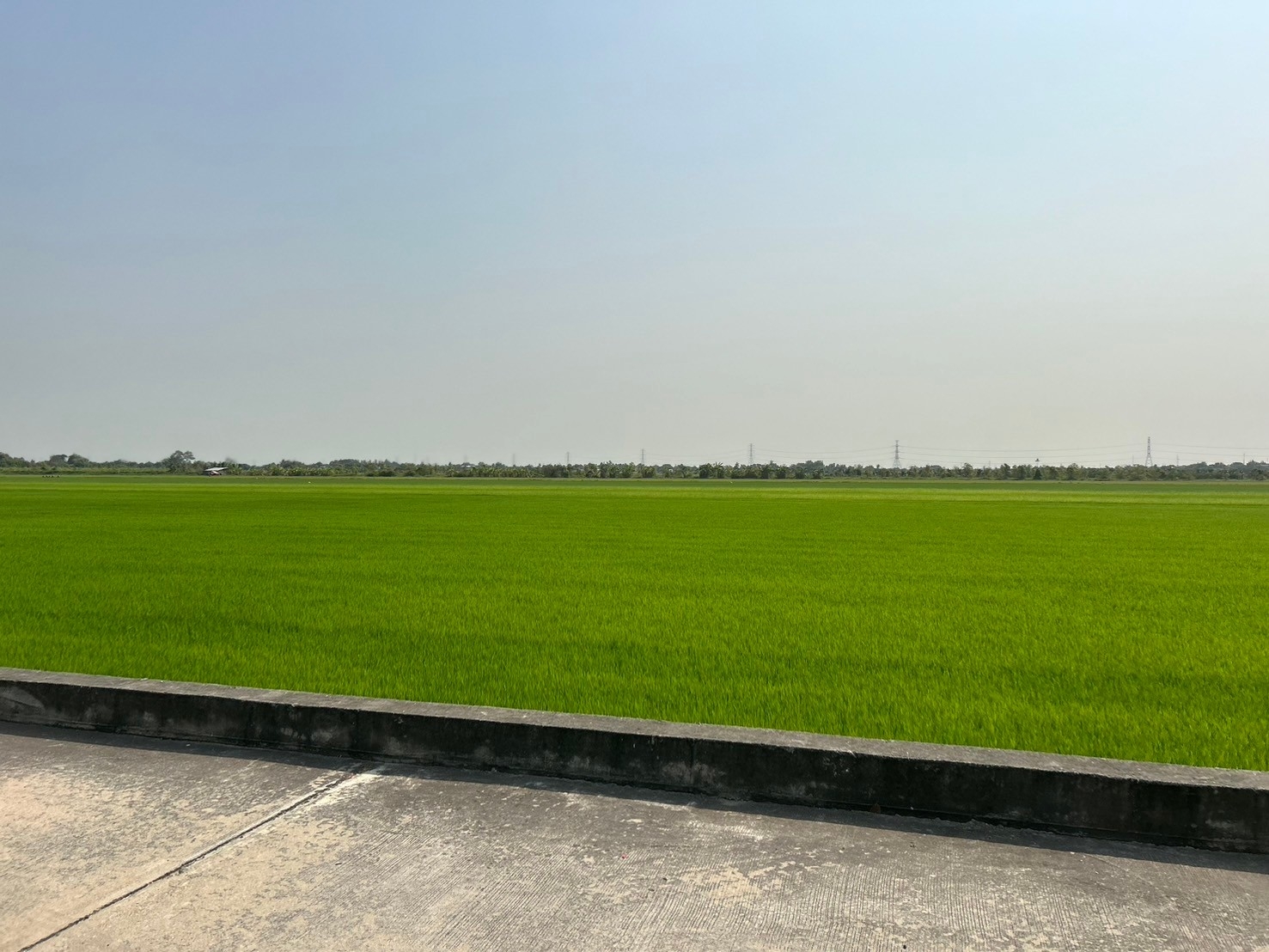 Land for sale, 100 sq m., along Khlong Chek Road, Lat Lum Kaeo, Pathum Thani, width 17.6 m., depth 2