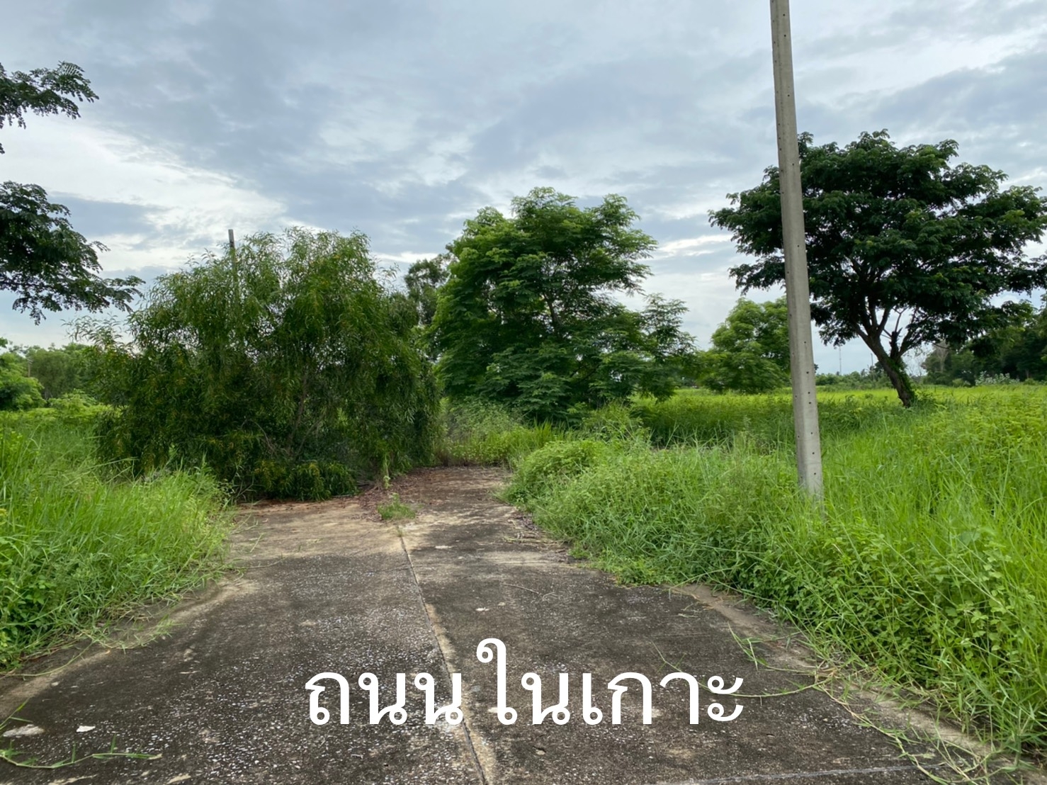 Urgent sale, plot of land, allocation at 76, area 1-0-39 rai, Soi Suwinthawong 47