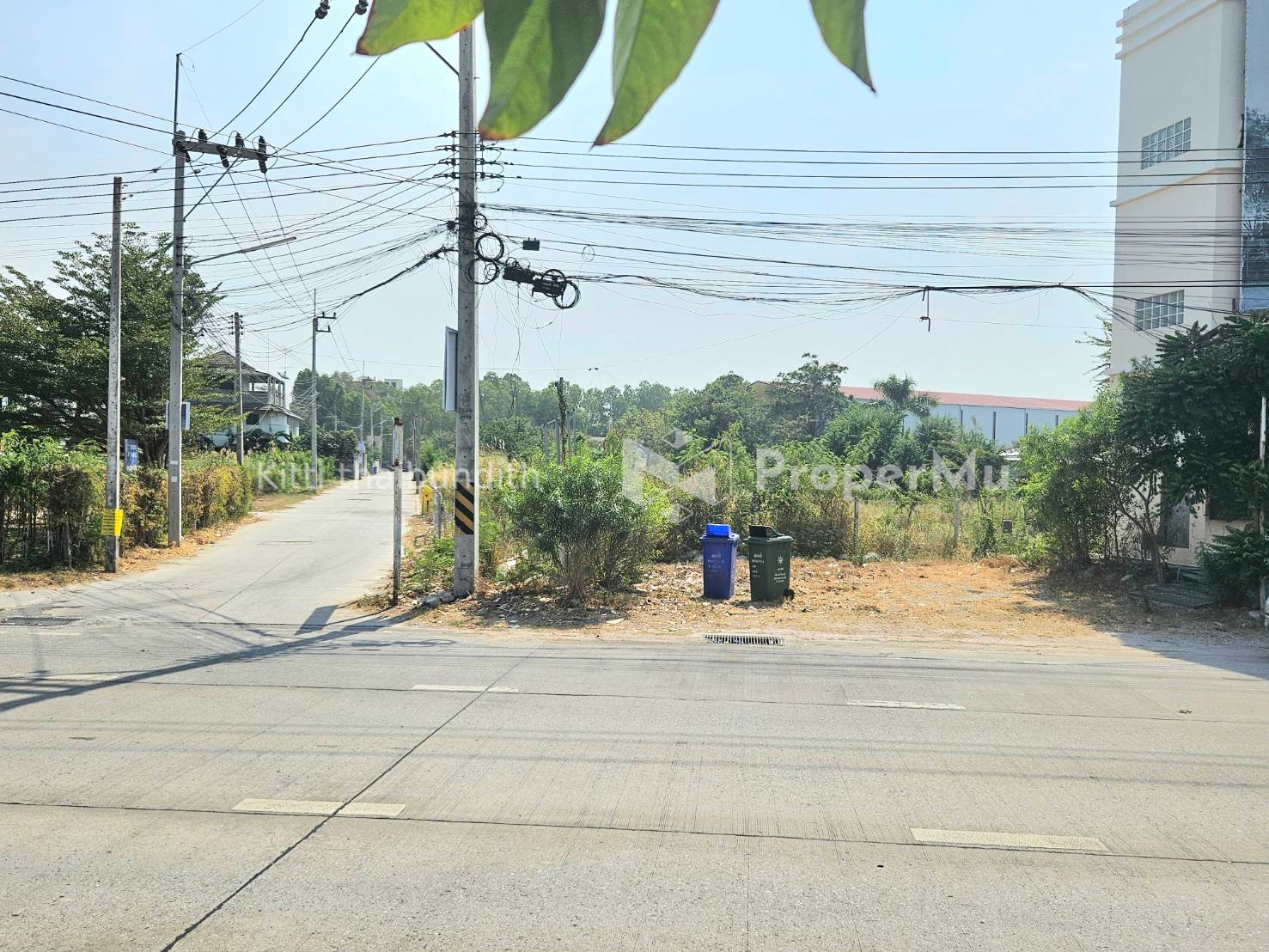 Land next to Khao Lam Road, 193 sq.w., width 22 m., depth 55 m.