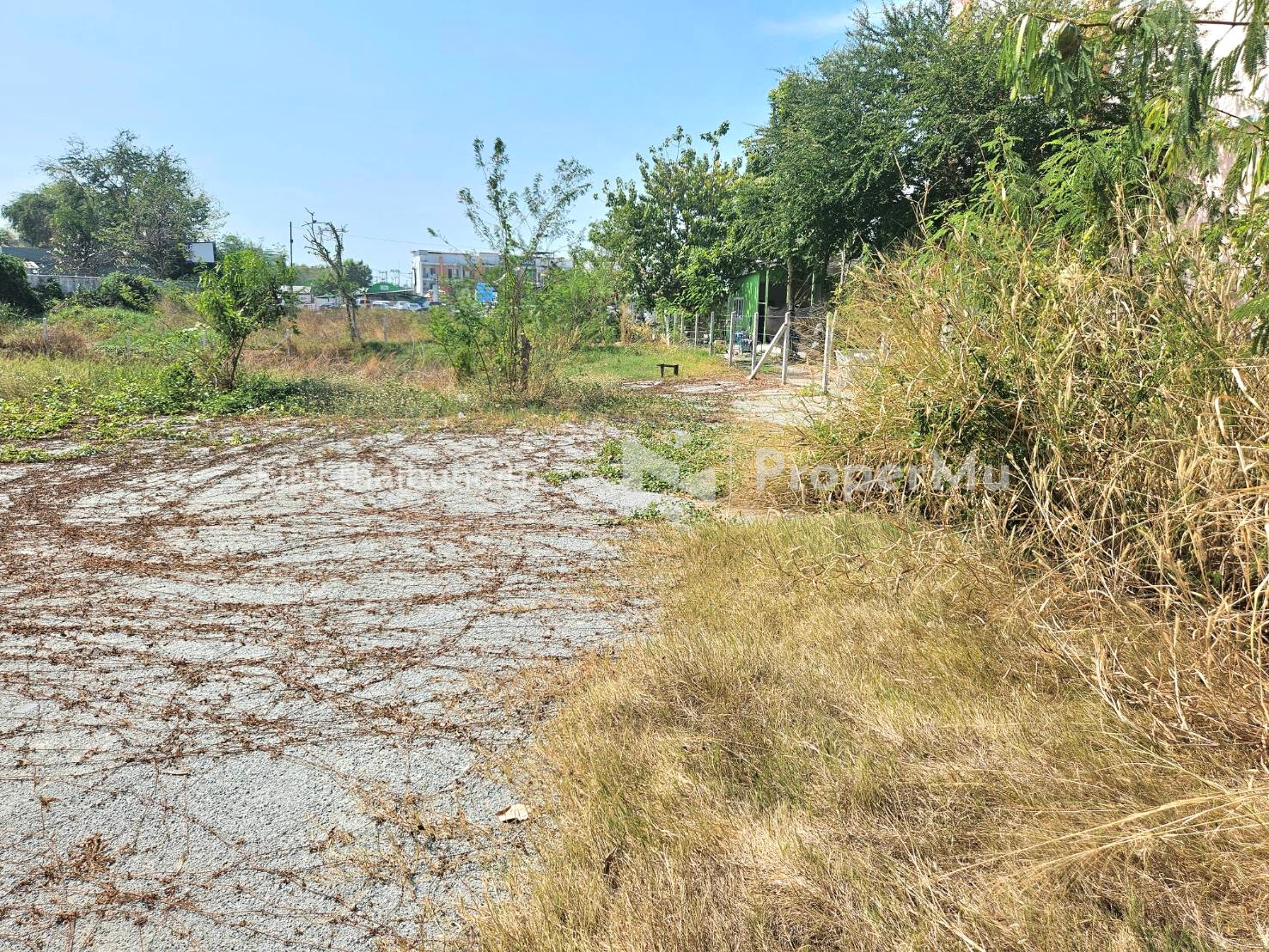 Land next to Khao Lam Road, 193 sq.w., width 22 m., depth 55 m.