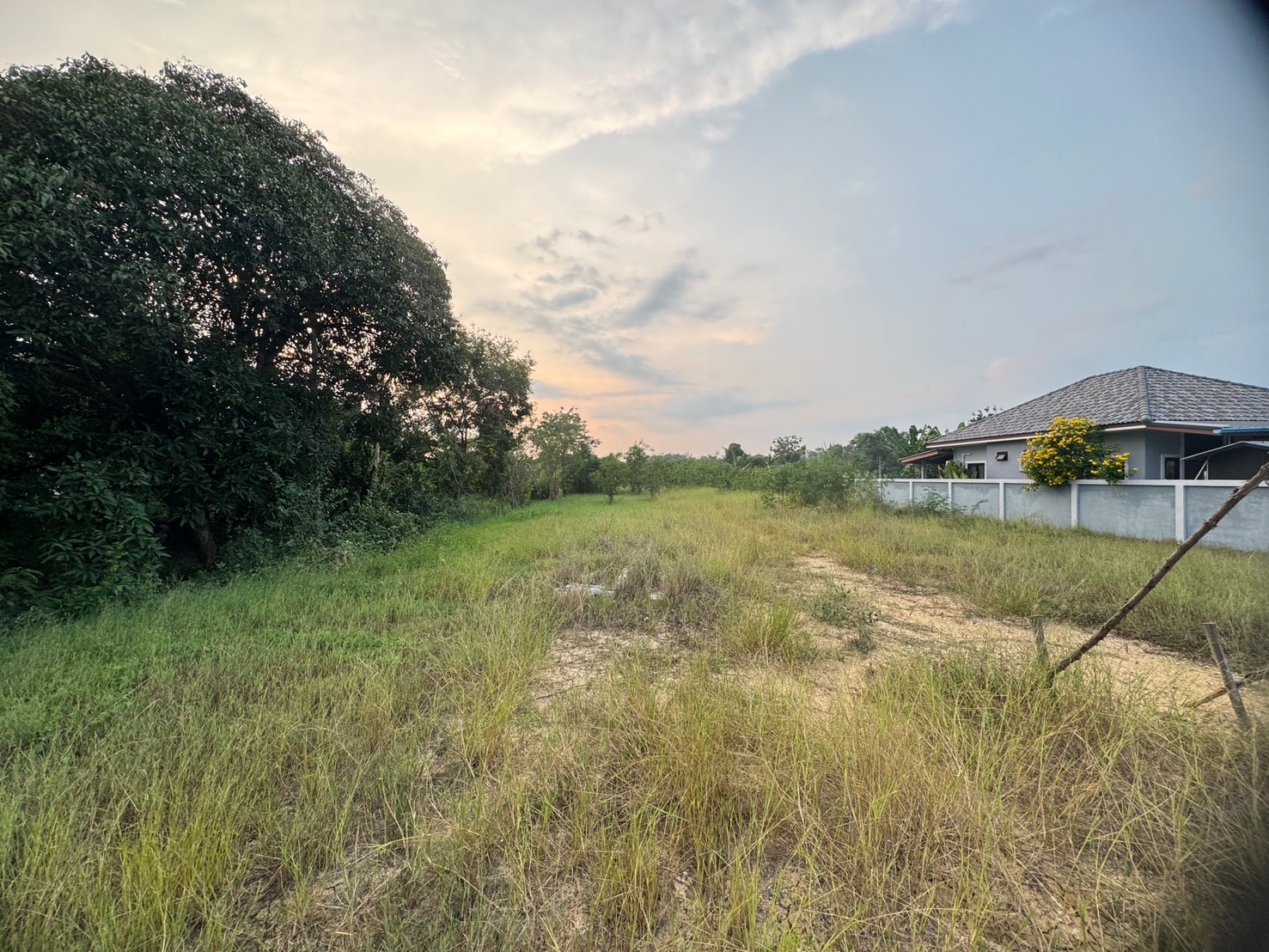 Land, 1 rai, next to the road, Nakhon Pathom by owner himself