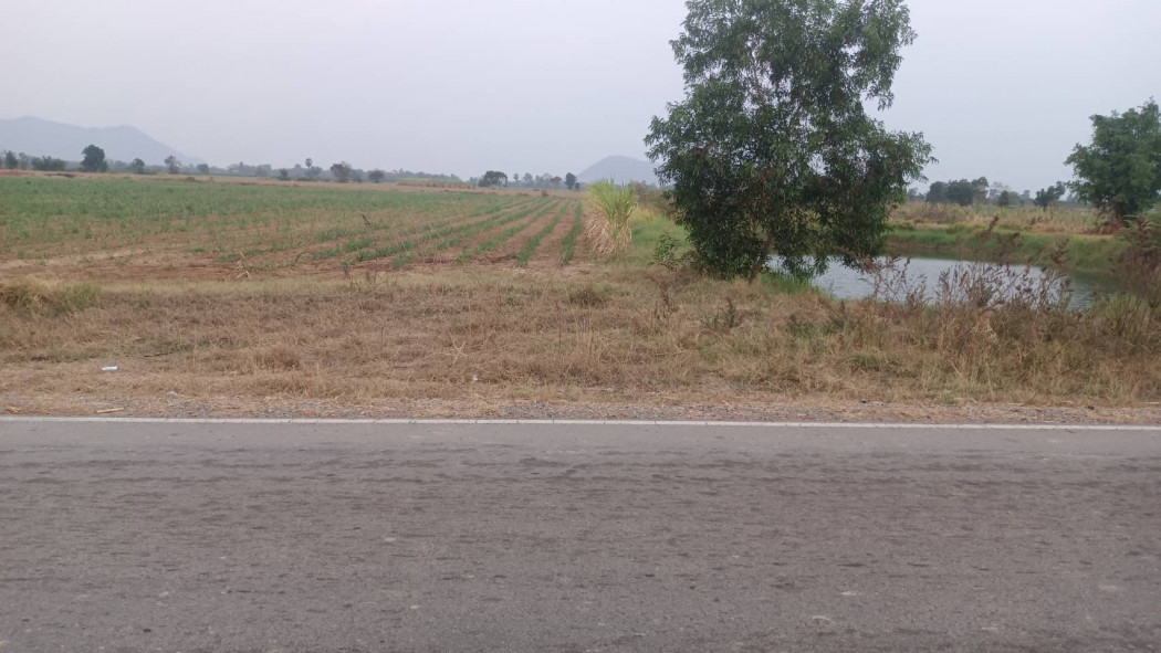 Land for sale (rectangular shape) with a pond, on a black road, Huawai, Takhli, Nakhon Sawan