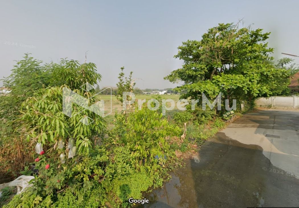 Land of sale 48 rai(16 acre) in Lampang city Great for village project, a huge café project  The pri