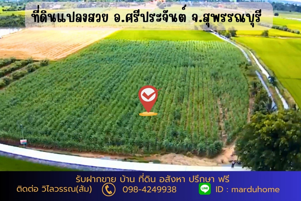 ขาย ที่ดิน ต.ดอนปรู อ.ศรีประจันต์ จ.สุพรรณบุรี NO 9 ไร่ 3 งาน 5 ตรว ทำเกษตรในยามเกษียณ