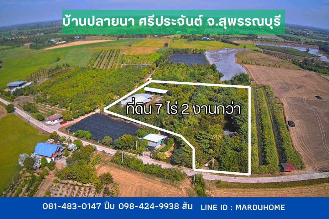 ที่ดิน พร้อมโรงงาน สวนป่า เนื้อที่ 7 ไร่ 2 งานกว่า ต.ปลายนา อ.ศรีประจันต์ จ.สุพรรณบุรี