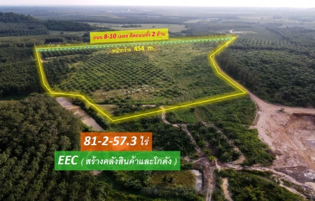 ขายที่ดิน EEC สร้างคลังสินค้าและโกดัง—ถนน 3574 จ.ระยอง (ใกล้ นิคมอุตสาหกรรมอีสเทิร์นซีบอร์ด) 81-2-57